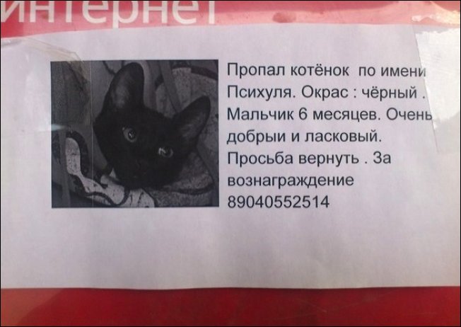 Прикольные надписи и объявления