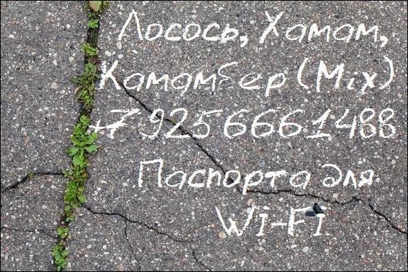 Прикольные надписи и объявления