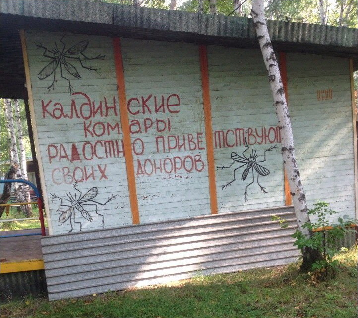 Прикольные надписи и объявления