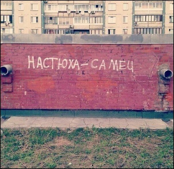 Прикольные надписи и объявления