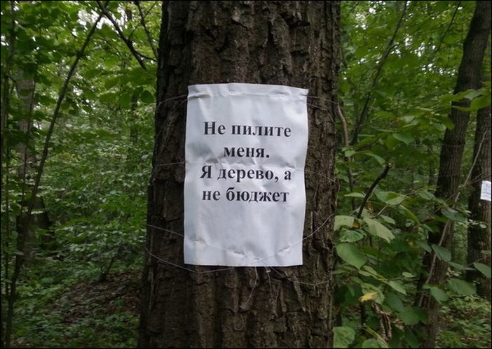 Прикольные надписи и объявления