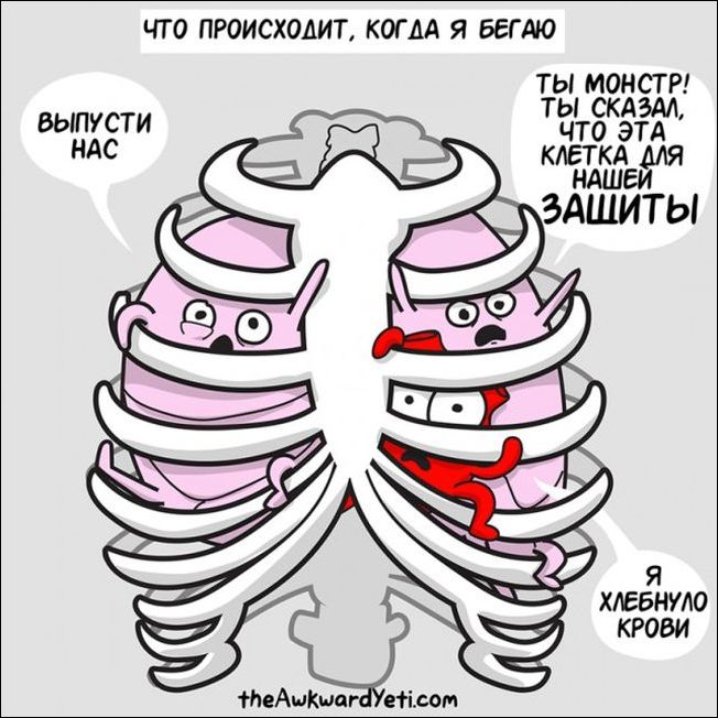 Комиксы и карикатуры