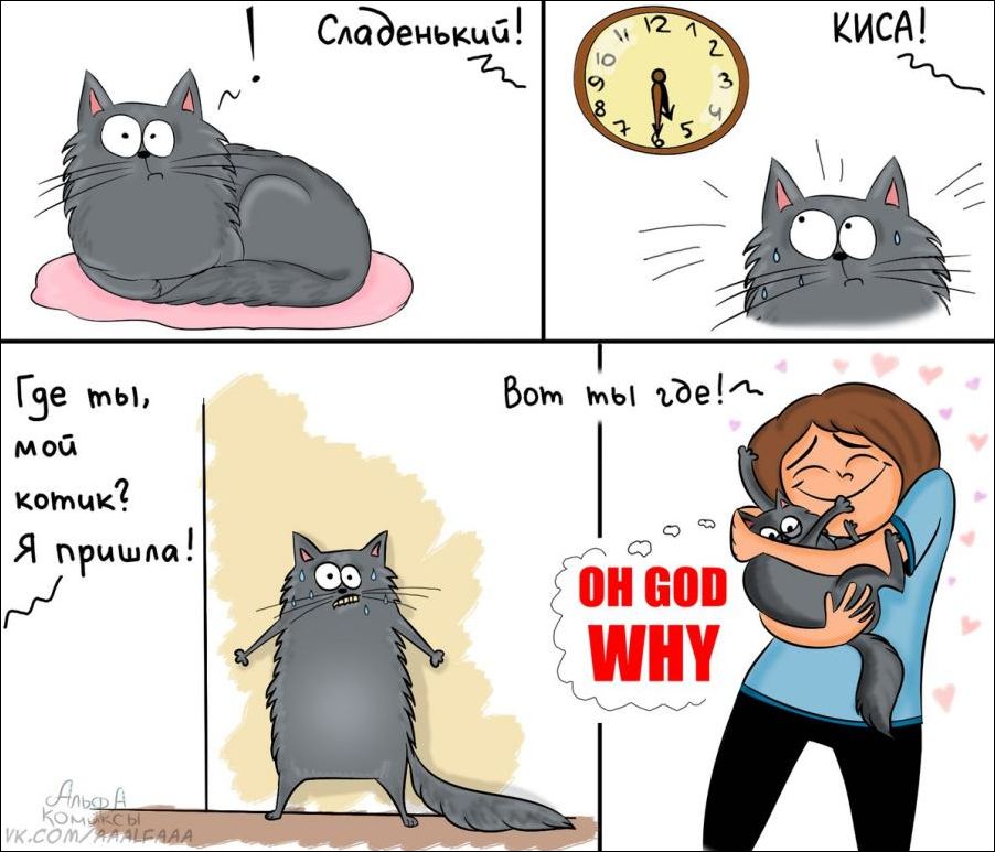 Комиксы и карикатуры