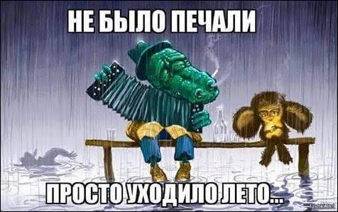 Комиксы и карикатуры