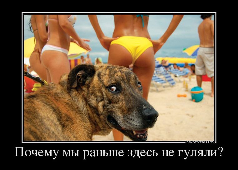 Демотиватор Демотиватор