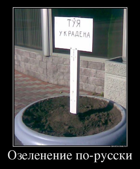 Демотиватор Демотиватор