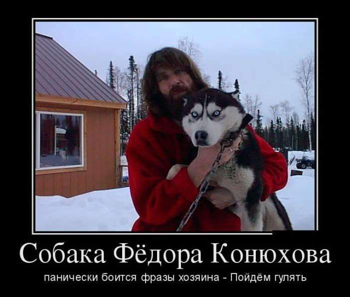 Демотиватор Демотиватор
