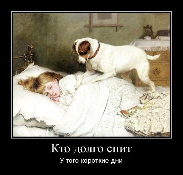 Демотиватор Демотиватор