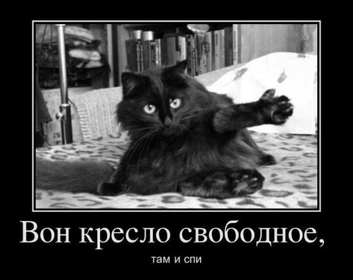 Демотиватор Демотиватор