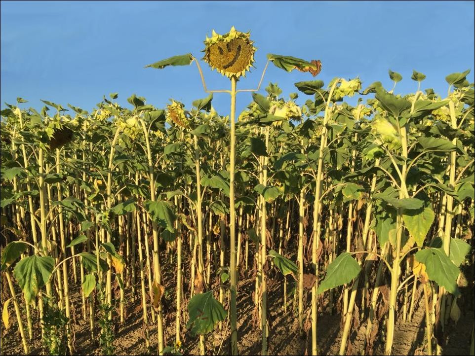 Фото-приколы