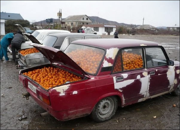 Фото-приколы