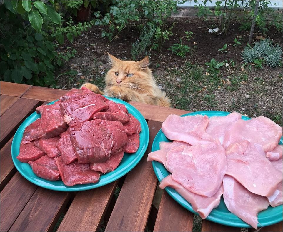 Фото-приколы