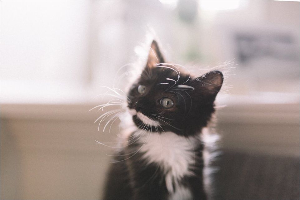 Фото-приколы