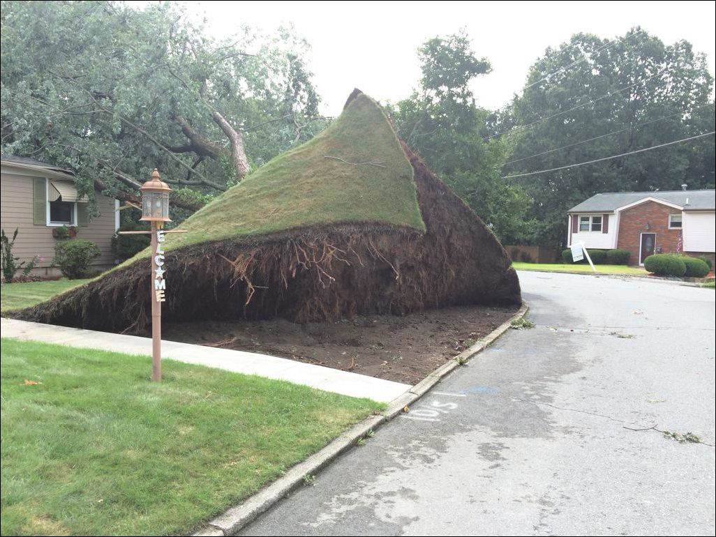 Фото-приколы