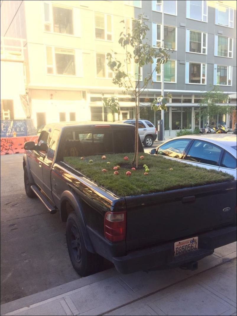 Фото-приколы