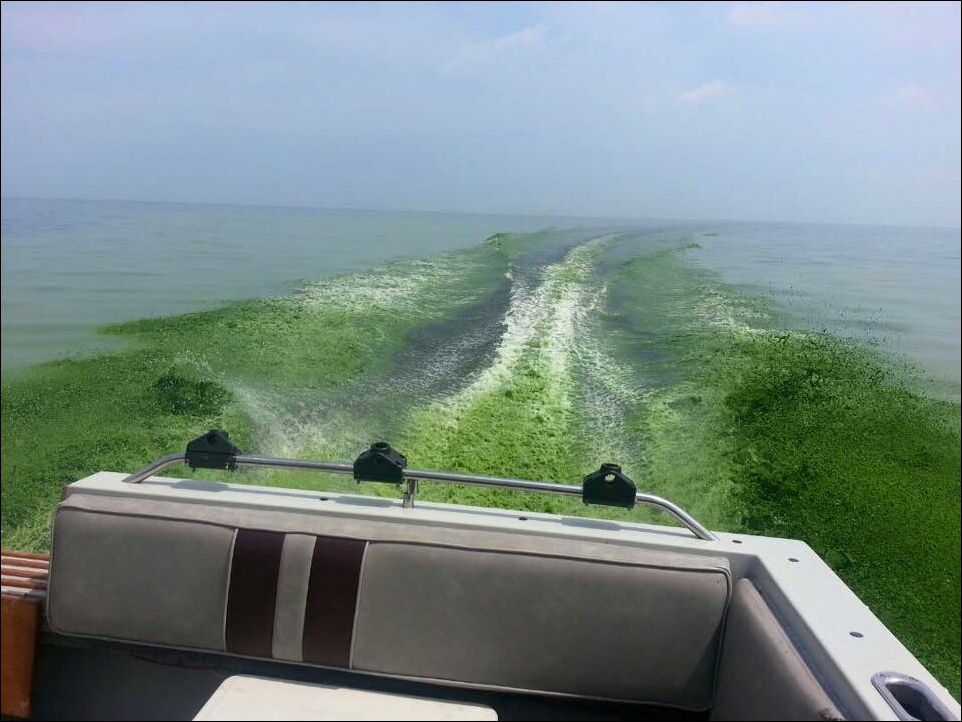 Фото-приколы