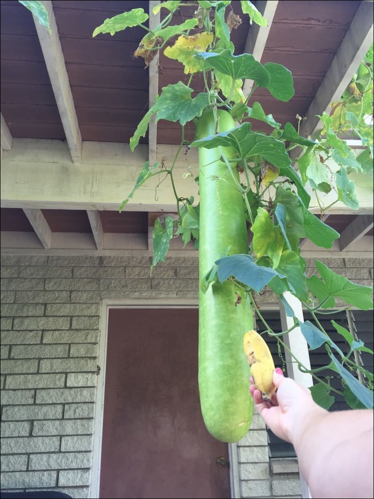 Фото-приколы