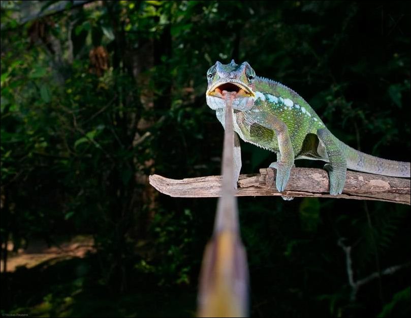 Фото-приколы