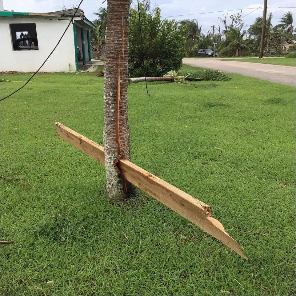 Фото-приколы