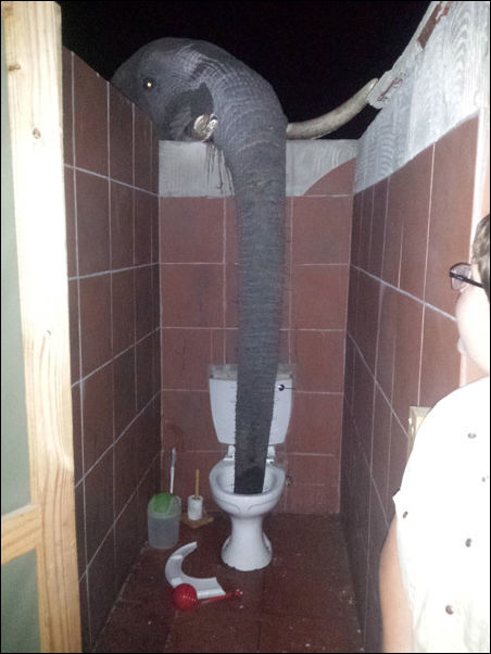 Фото-приколы