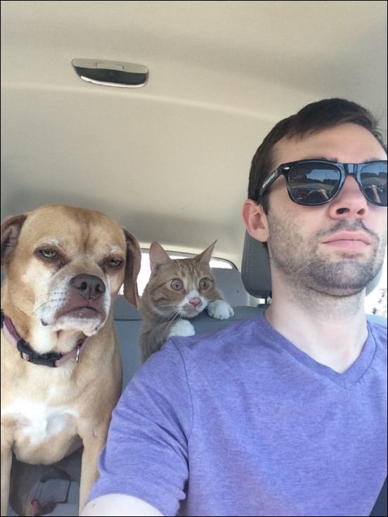 Фото-приколы