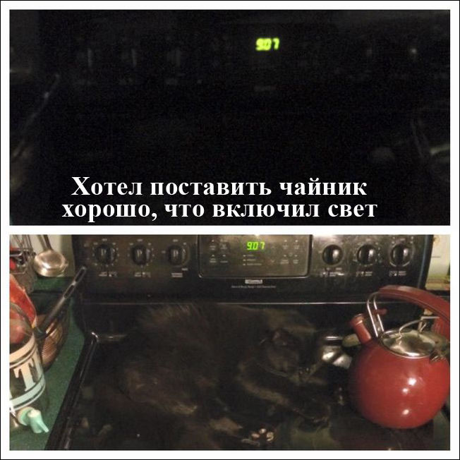 Фото-приколы