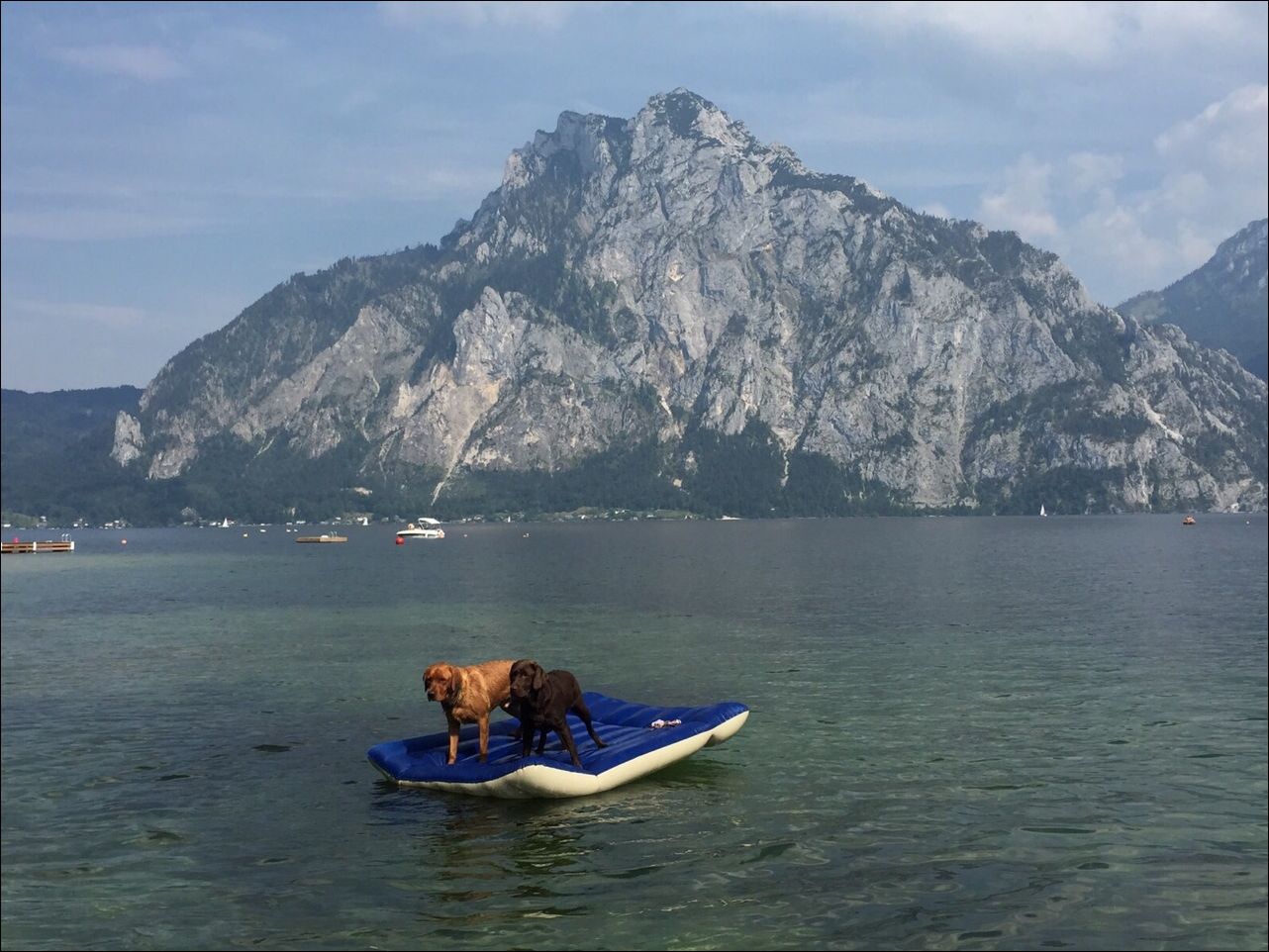 Фото-приколы