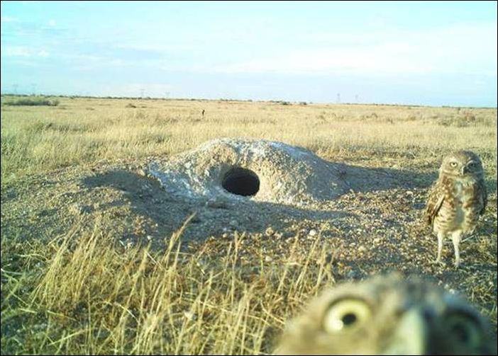 Фото-приколы