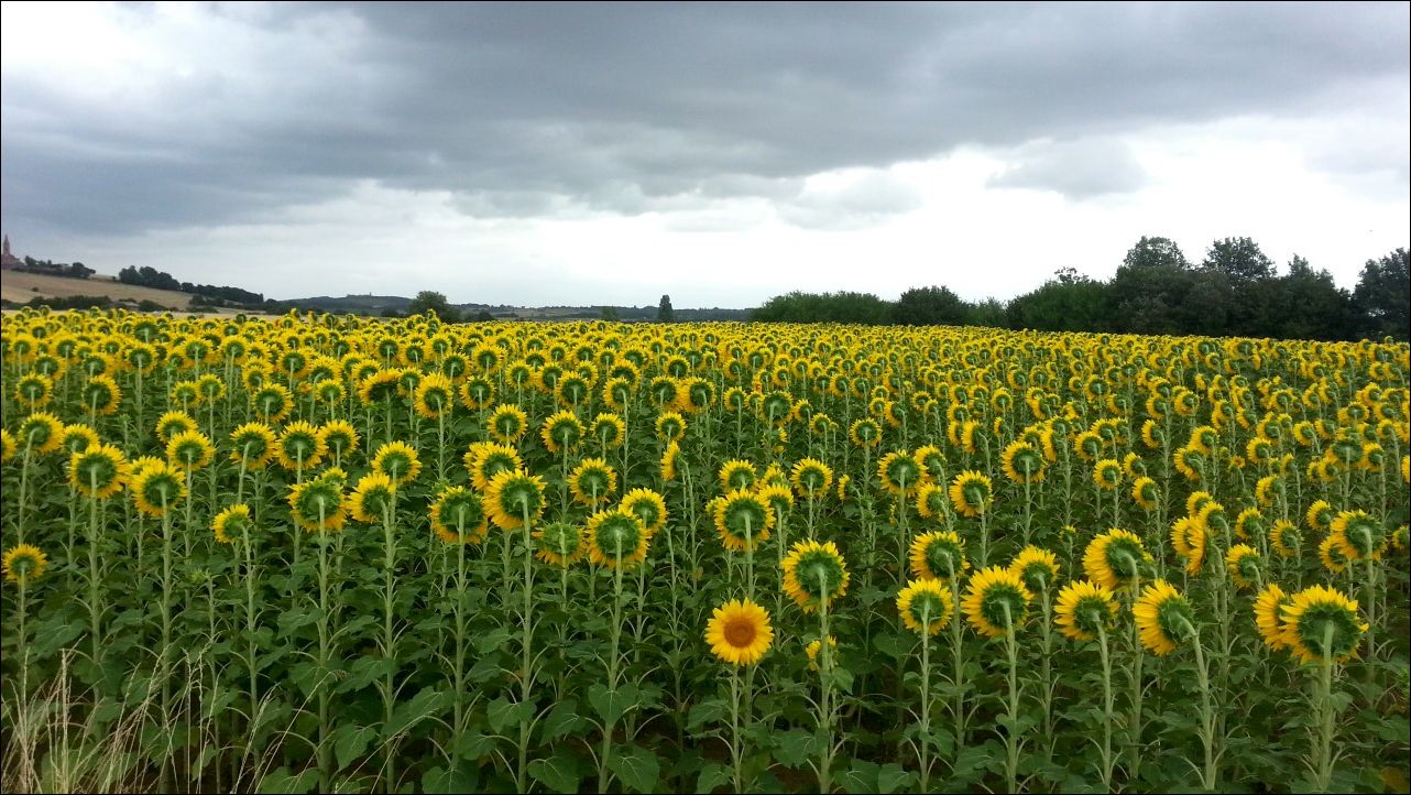 Фото-приколы