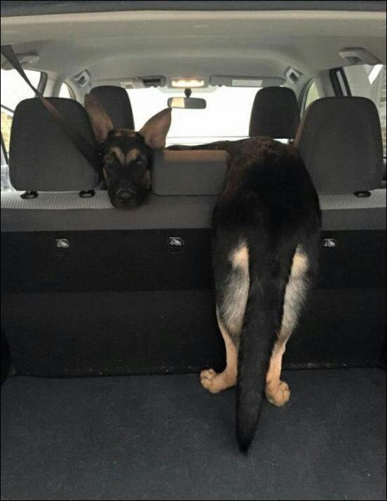 Фото-приколы