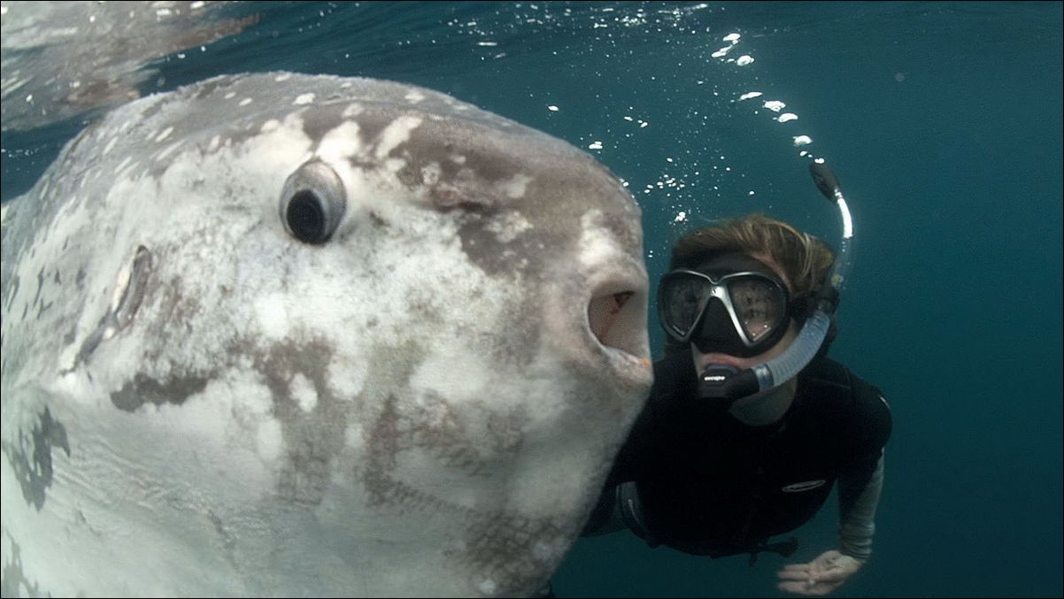 Фото-приколы