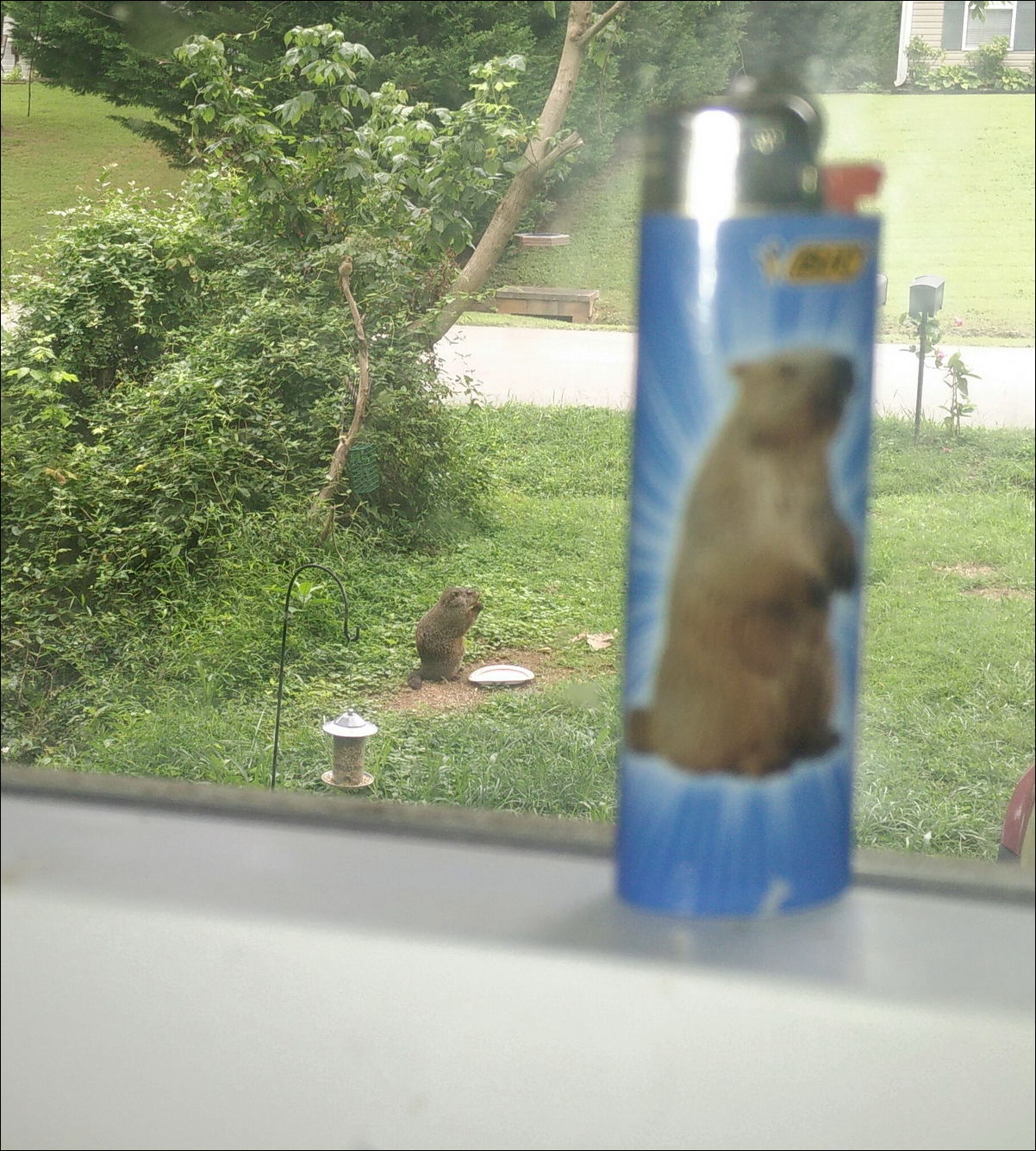 Фото-приколы