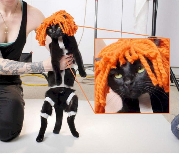 Фото-приколы