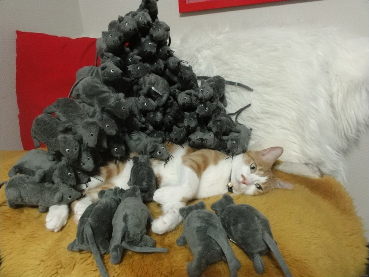 Фото-приколы