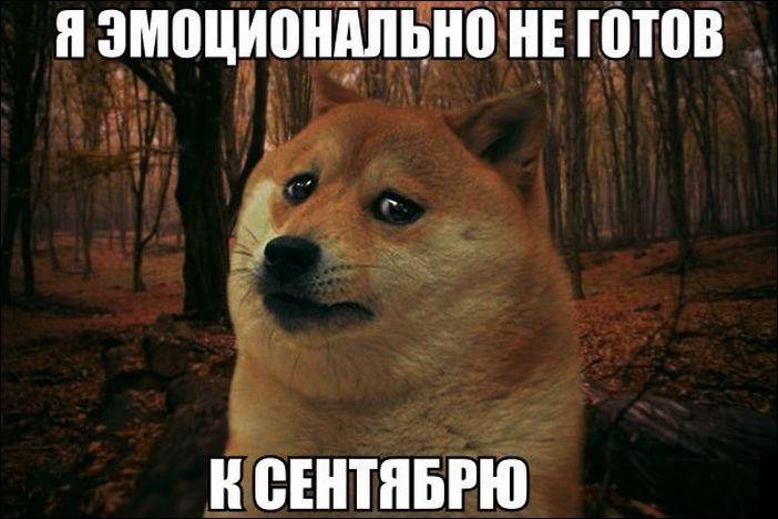 Фото-приколы