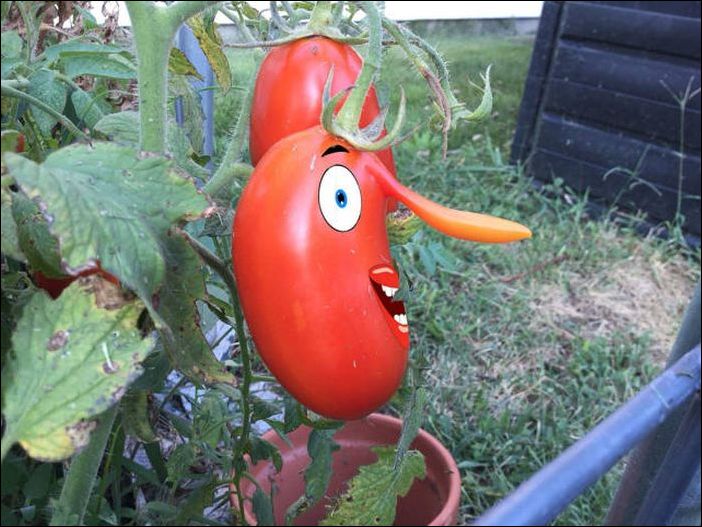 Фото-приколы