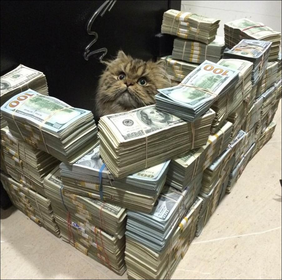 Фото-приколы