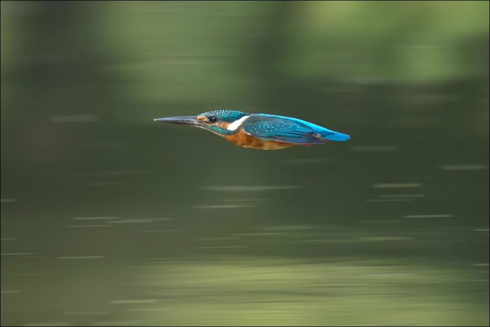 Фото-приколы