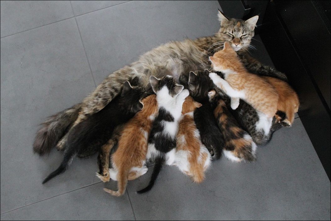 Фото-приколы