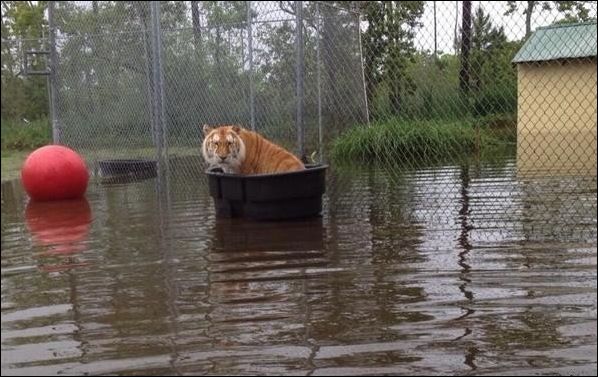 Фото-приколы