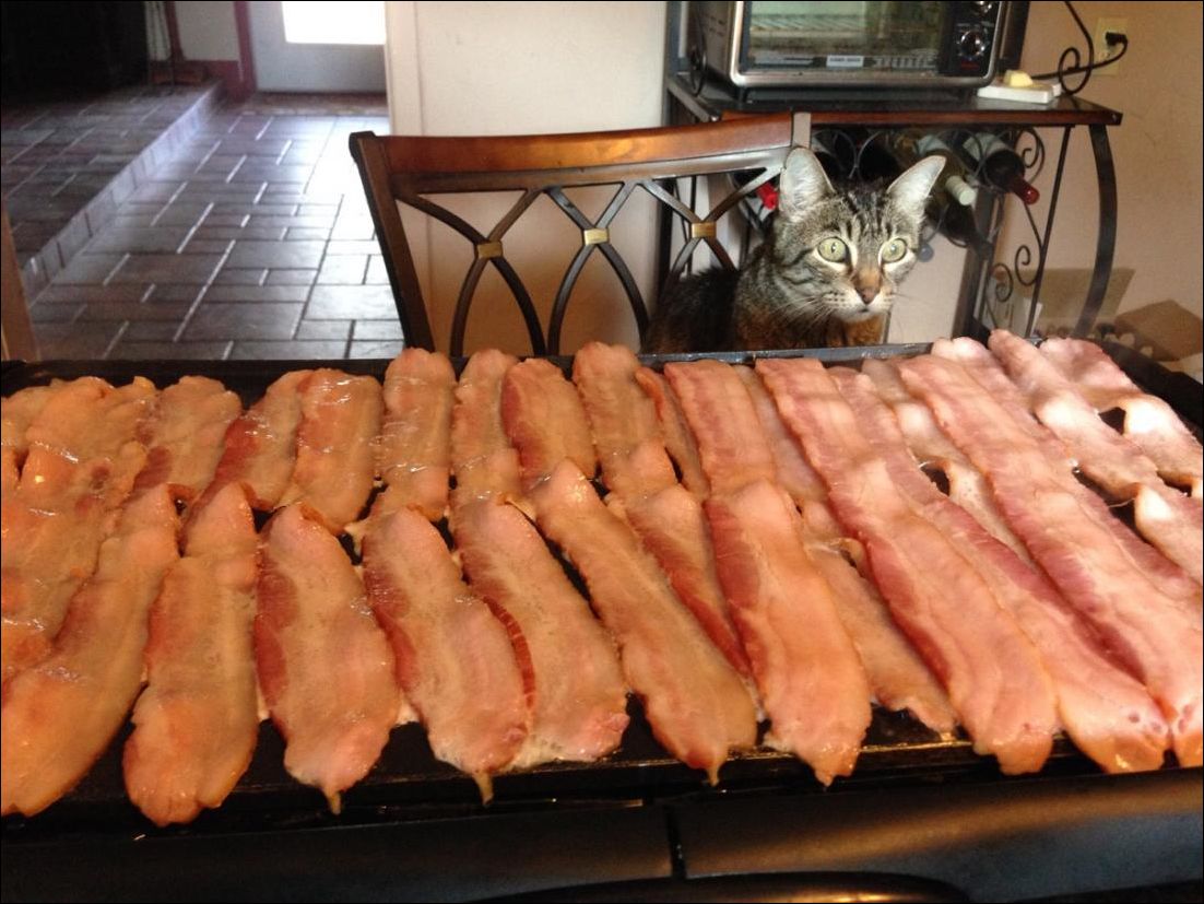 Фото-приколы