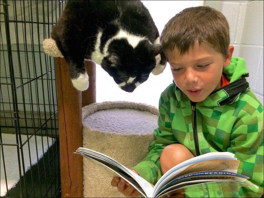 Фото-приколы