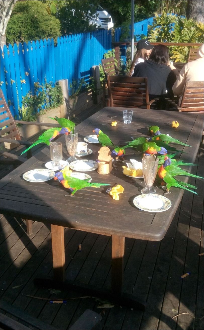 Фото-приколы