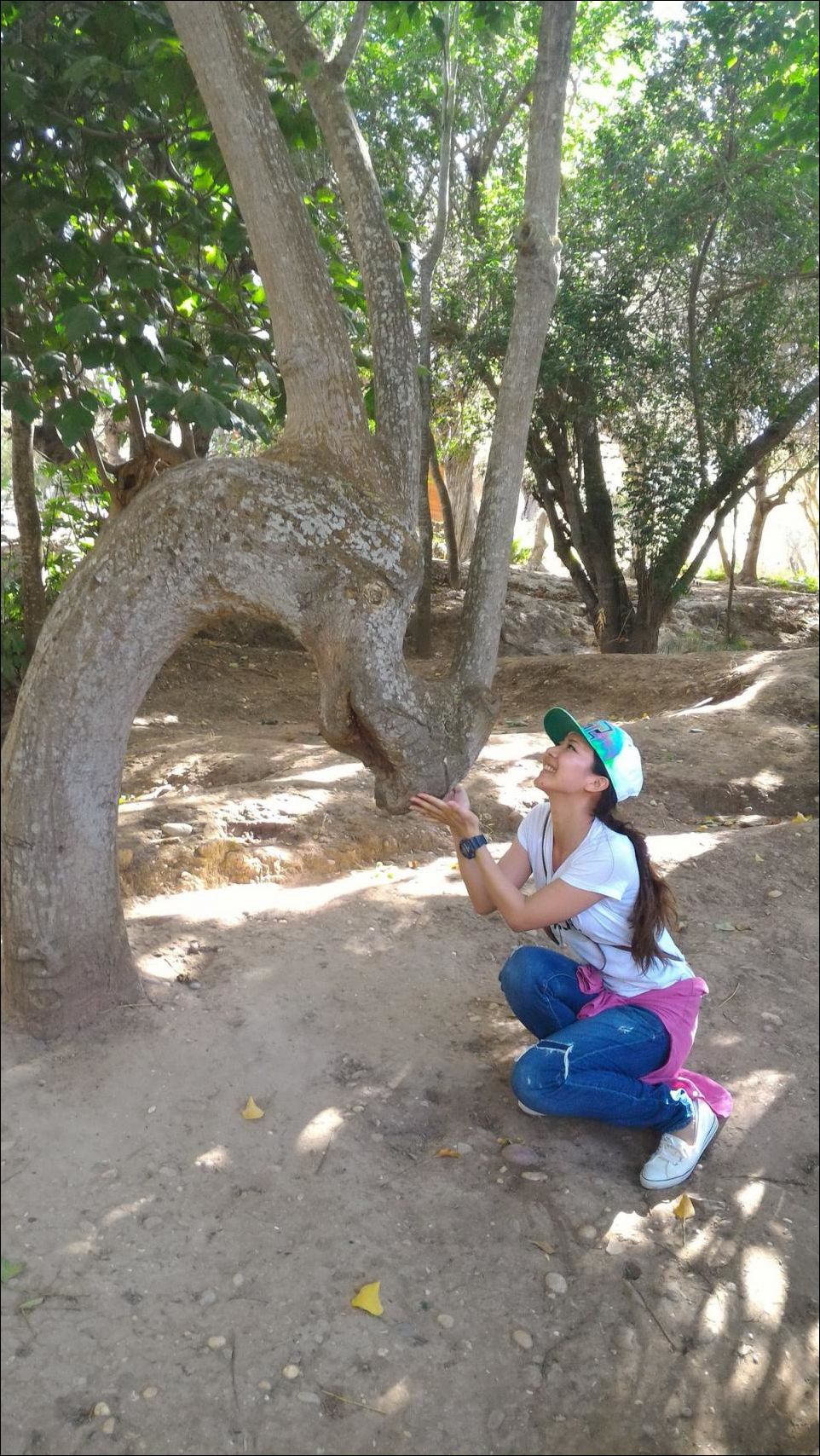 Фото-приколы