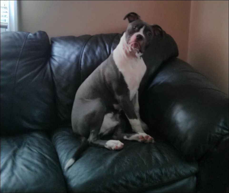 Фото-приколы