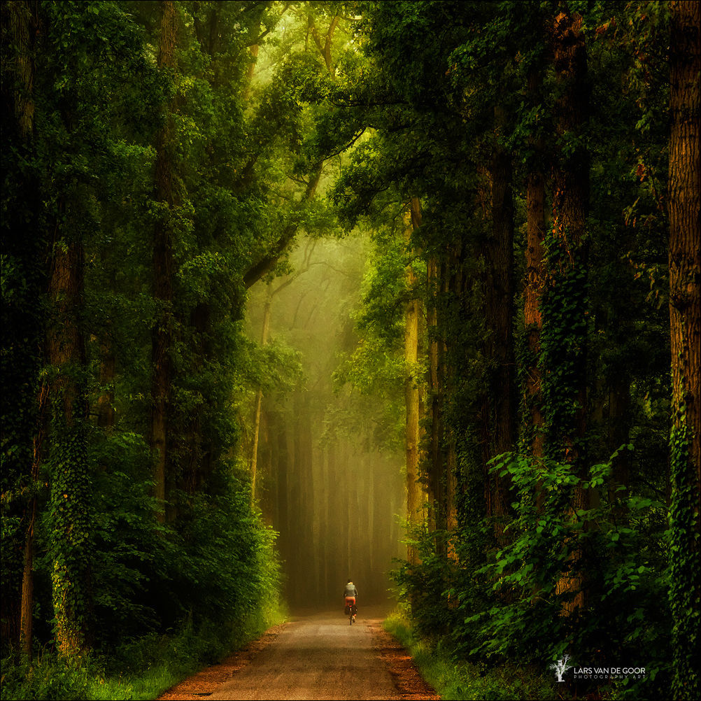 Фото-приколы