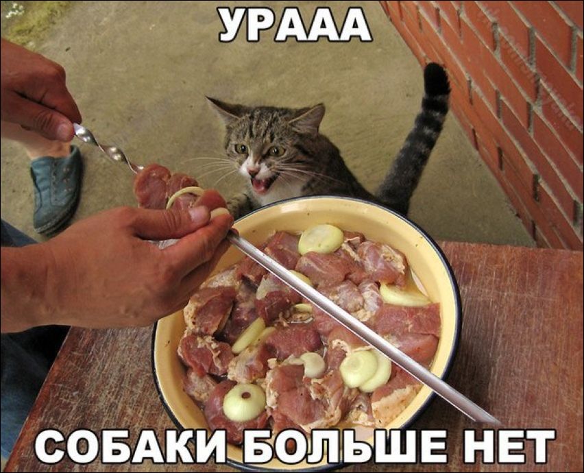 Фото-приколы