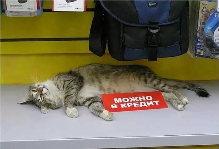 Фото-приколы