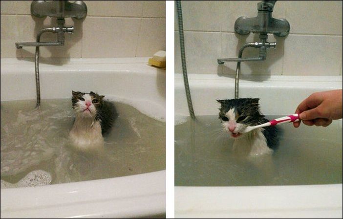 Фото-приколы