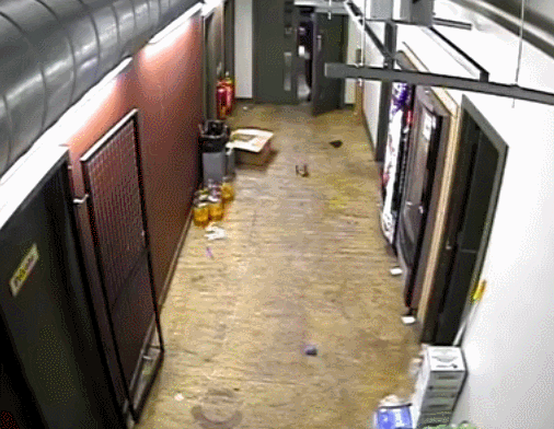 Прикольные гифки